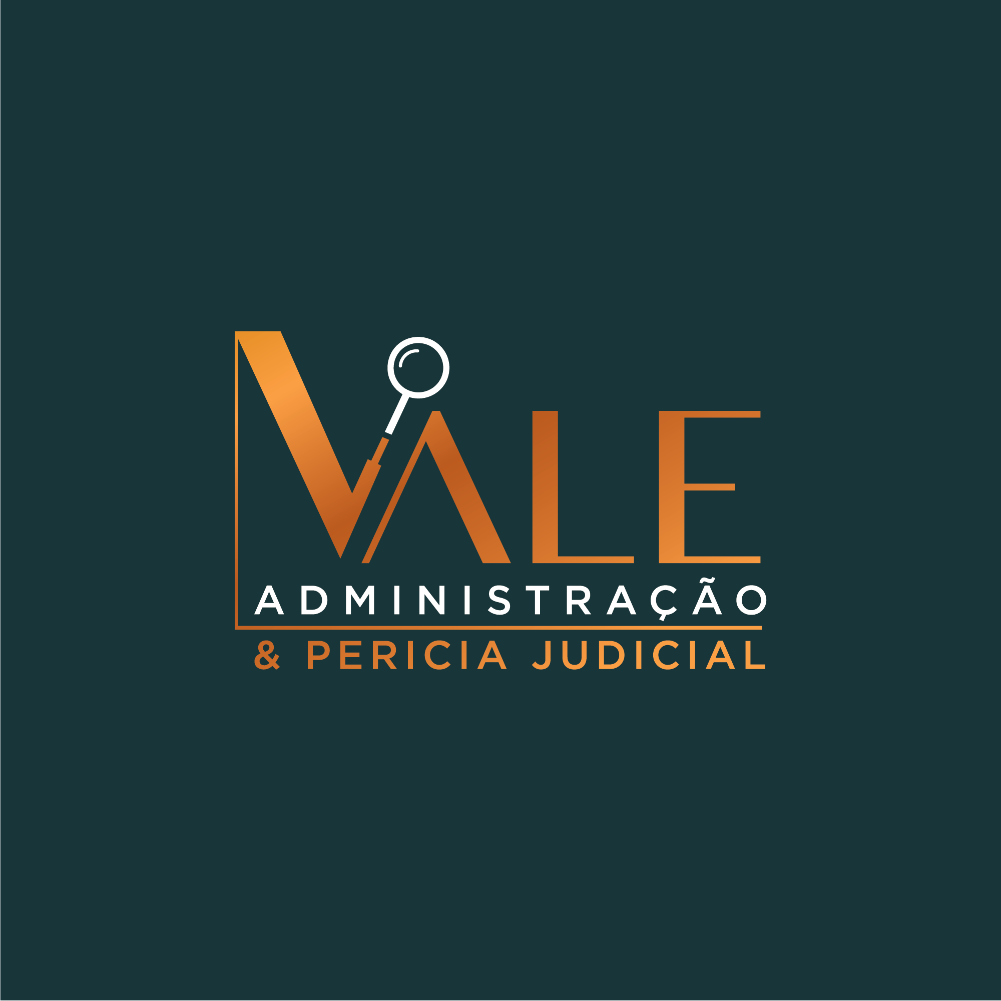 Vale Administração e Perícia Judicial